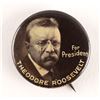 Image 1 : Theodore Roosevelt