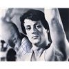 Image 1 : Sylvester Stallone