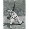 Image 1 : Sandy Koufax