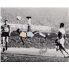 Image 1 : Pele