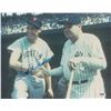 Image 1 : Ted Williams