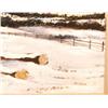 Image 2 : PAUL SAMPLE Winter in New Hampshire