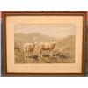 Image 1 : WILLIAM ROWELL DERRICK Study of Highland Sheep 