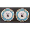 Image 1 : PAIR OF ARMORIAL PLATES