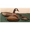 Image 1 : GROUP OF 3 DUCK DECOYS