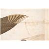 Image 2 : after JOHN J. AUDUBON