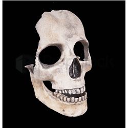 Alien: Covenant Dead Engineer Skull