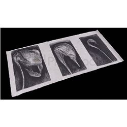 Alien: Covenant David's Artwork