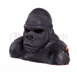 The Flash Gorilla Grood Stand-In Head