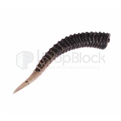 Harry Potter Production Made Horn