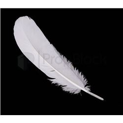 Harry Potter and the Sorcerer's Stone White Quill