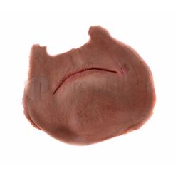 Terminator 2 T-800 Mouth Facial Appliance