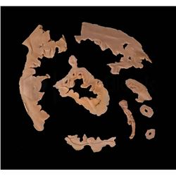 Terminator 2 Un-used Facial Prosthetics