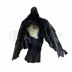 The Lone Ranger (2013) Tonto Head Crow