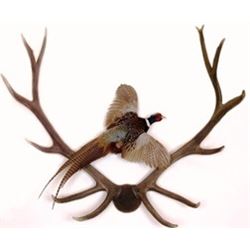 FOUR PERSON PHEASANT HUNT