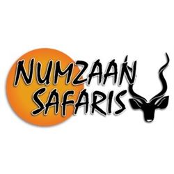 SOUTH AFRICAN SAFARI