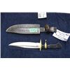 Image 1 : Bowie Knife
