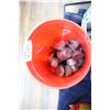 Image 1 : Container of Lead