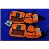 Image 1 : Waist Belt Packs (2)