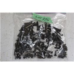 Gun Screws - 1 Bag