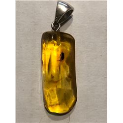 Amber Sterling Silver Pendant Filled with Insects & Plants Total Weight is 4.2 Grams