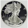 Image 1 : 1996-P AMERICAN SILVER EAGLE