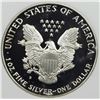 Image 2 : 1989-S AMERICAN SILVER EAGLE