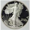 Image 1 : 1987-S AMERICAN SILVER EAGLE