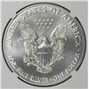 Image 2 : 2019 AMERICAN SILVER EAGLE