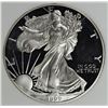 Image 1 : 1999 AMERICAN SILVER EAGLE