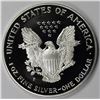 Image 2 : 1999 AMERICAN SILVER EAGLE
