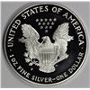 Image 2 : 2000 AMERICAN SILVER EAGLE