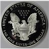 Image 2 : 2001 AMERICAN SILVER EAGLE