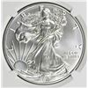 Image 1 : 2019 AMERICAN SILVER EAGLE