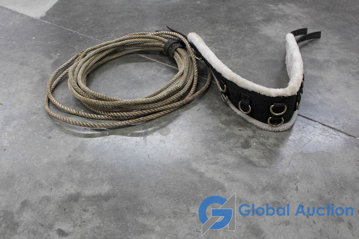 Cinch Rings Rope Cinch & Lariat Rope