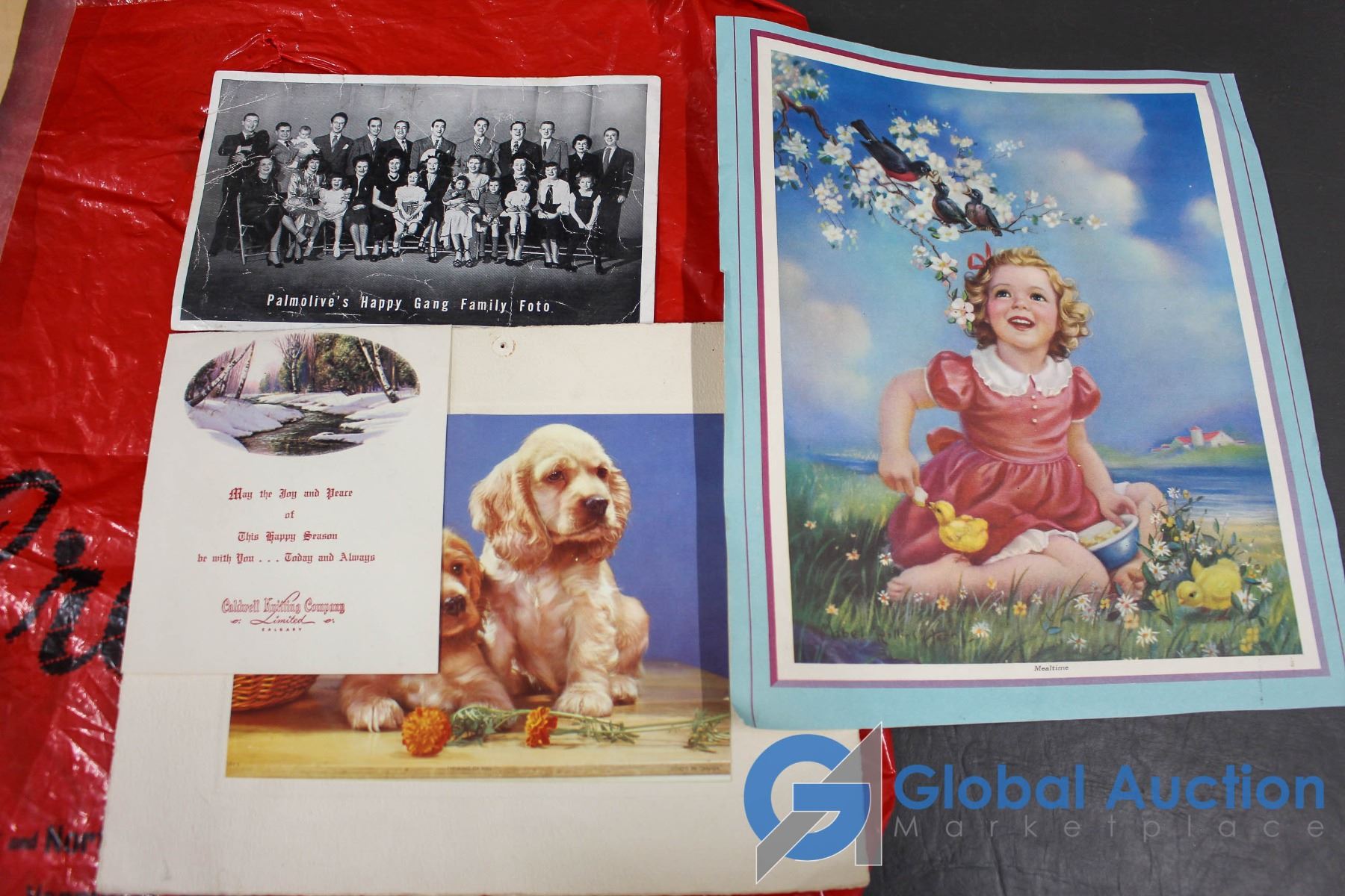 Amazing Collection of Antique & Vintage Magazines & Brochures