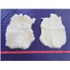 Image 1 : LOT OF 2 WHITE RABBIT PELTS