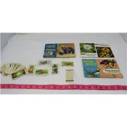 LOT OF 40+ TEA CARDS AND 3 OF THE STICKER BOOKS THAT GO WITH THE CARDS