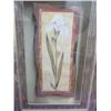 Image 4 : SET OF 4 FLOWER PICTURES (FRAMED) *19" X 13.5" EACH*