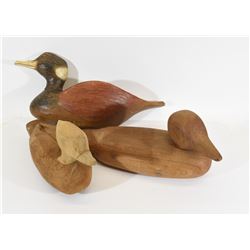 Ducks