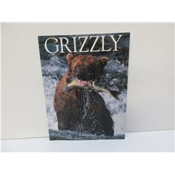 Grizzly by Michio Hoshino