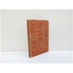 A First Book of Zoology by T.H. Burlend
