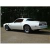 Image 3 : 1976 PONTIAC TRANS AM 400 4 SPEED 34000 ACTUAL MILES