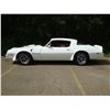 Image 4 : 1976 PONTIAC TRANS AM 400 4 SPEED 34000 ACTUAL MILES