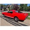 Image 4 : 1965 FORD MUSTANG FASTBACK 4 SPEED FACTORY RED ON RED COMPREHENSIVE RESTORATION