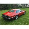 Image 3 : 1992 JAGUAR XJS COUPE