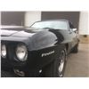 Image 6 : 1969 PONTIAC FIREBIRD CUSTOM
