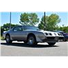Image 2 : 1979 PONTIAC TRANS AM 10TH ANNIVERSARY EDITION
