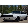 Image 1 : 1968 CHEVROLET CAMARO PROTOURING LS3