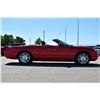 Image 5 : 2002 FORD THUNDERBIRD CONVERTIBLE